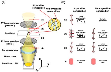 imaging polarimeters|application of polarized light.